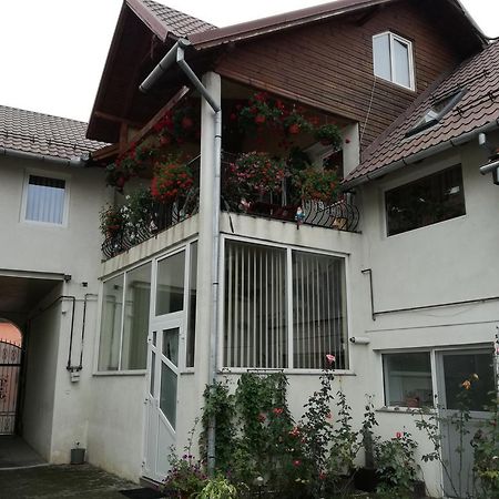Vila Nely Râșnov Zewnętrze zdjęcie