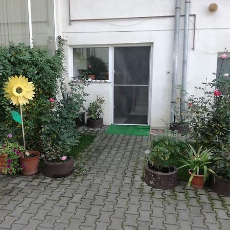 Vila Nely Râșnov Zewnętrze zdjęcie