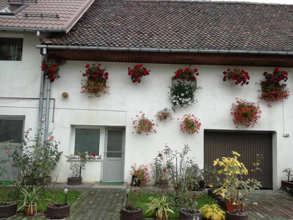 Vila Nely Râșnov Zewnętrze zdjęcie