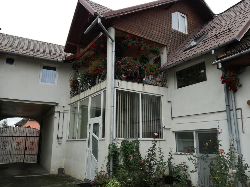 Vila Nely Râșnov Zewnętrze zdjęcie