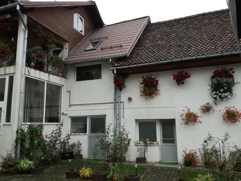Vila Nely Râșnov Zewnętrze zdjęcie