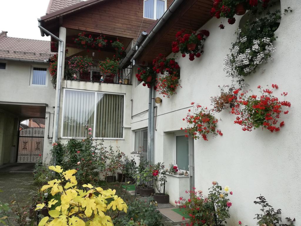 Vila Nely Râșnov Zewnętrze zdjęcie