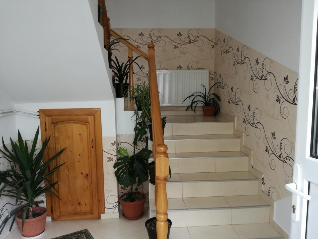Vila Nely Râșnov Zewnętrze zdjęcie