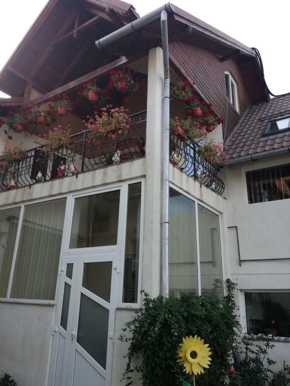 Vila Nely Râșnov Zewnętrze zdjęcie